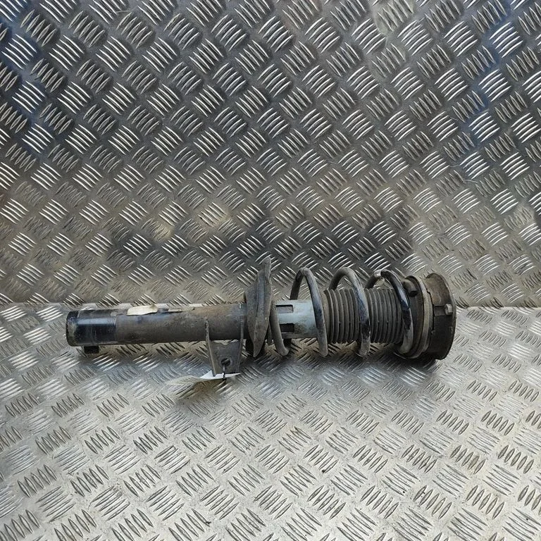 Front shock absorber/damper 824904017304