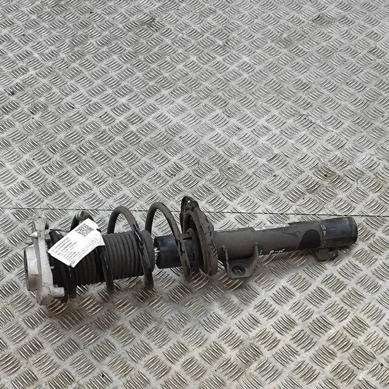 Front shock absorber/damper 1EA412021