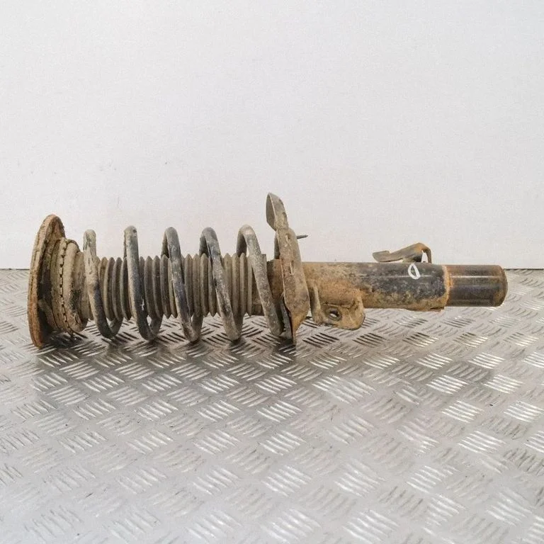 Front shock absorber/damper 31262896