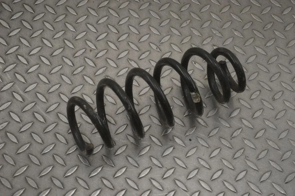 Front coil spring 31451301