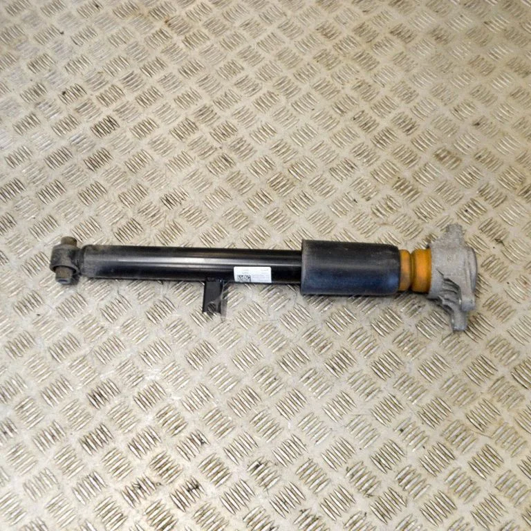 Rear shock absorber/damper 22838110