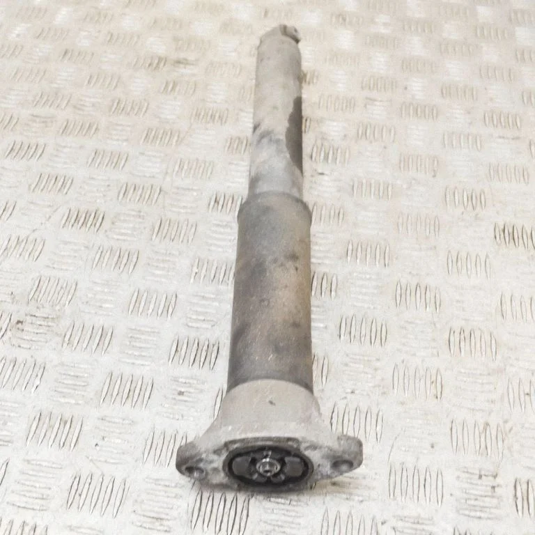 Rear shock absorber/damper A2053260098