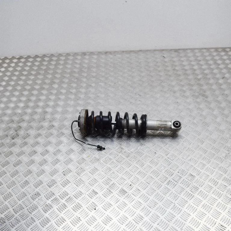 Rear shock absorber/damper 2283993