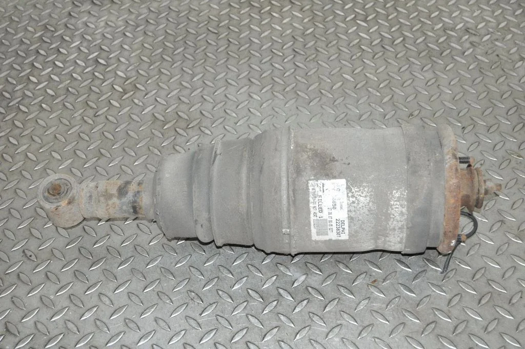 Amortyzator tylny – Land Rover Range Rover Sport L320 (2005-2013)