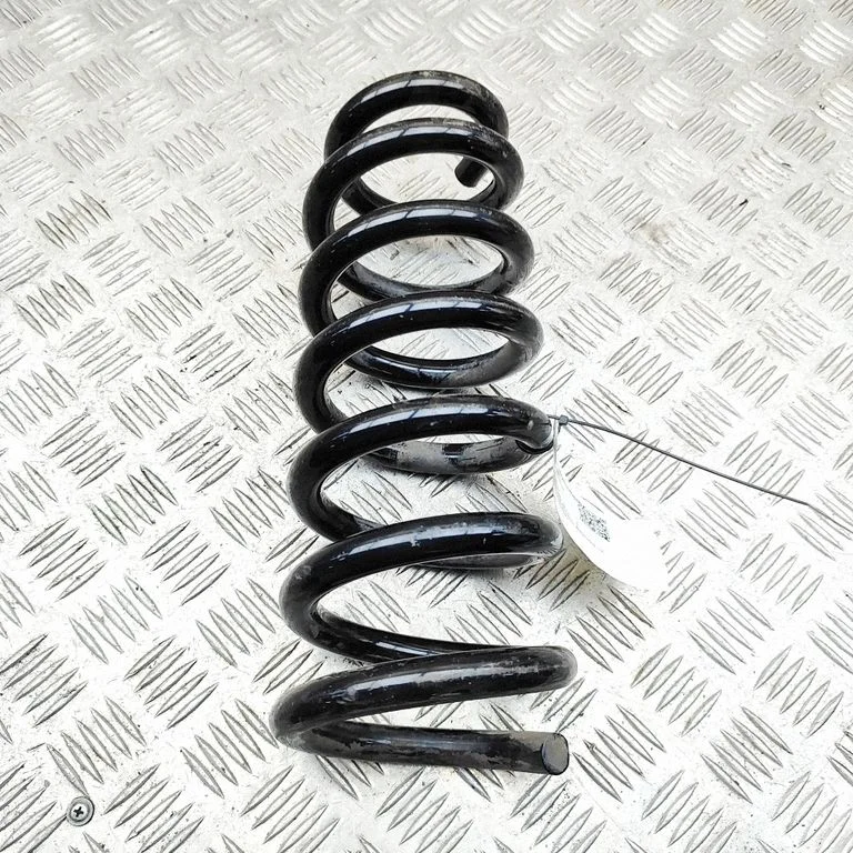 Aizmugurējā spirālatspere 10980296