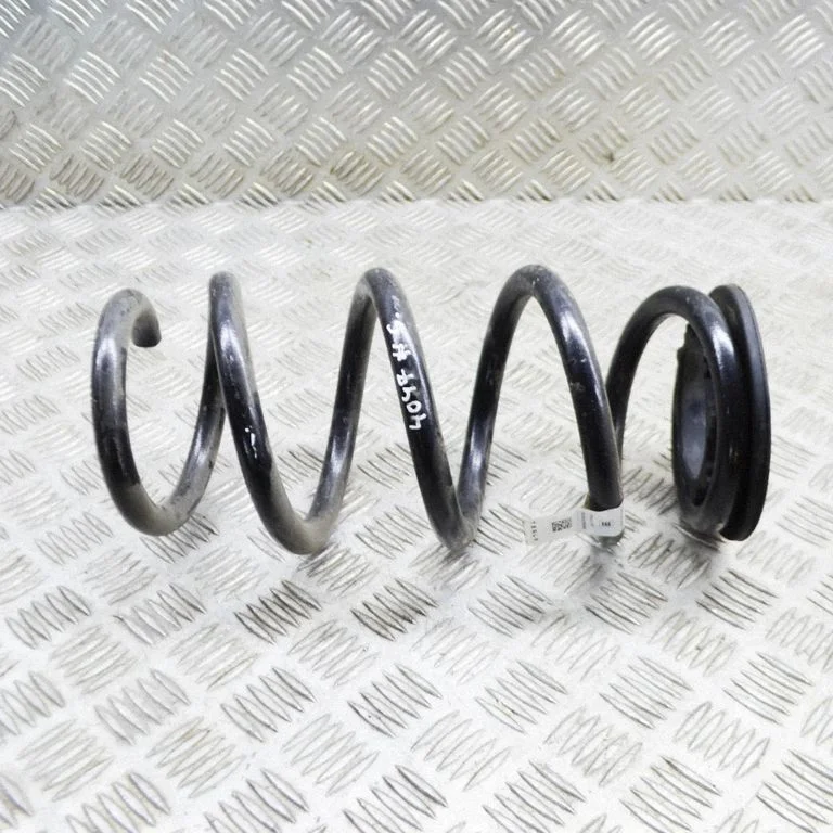 Rear coil spring 104447201E