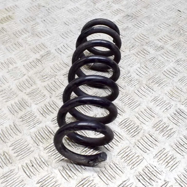 Rear coil spring 6889979