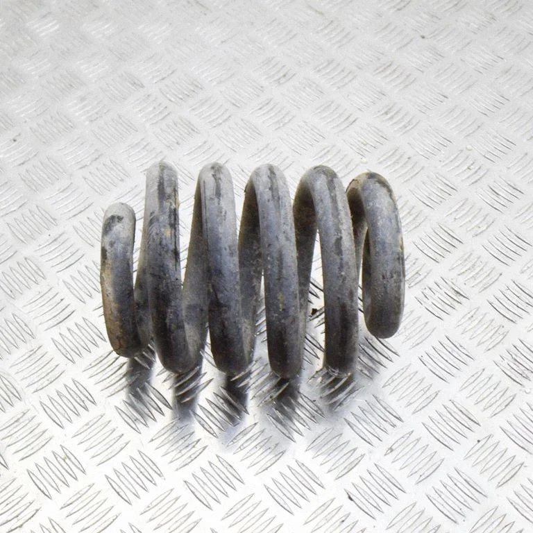 Aizmugurējā spirālatspere – kreisā