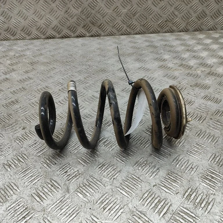 Rear coil spring 6892131