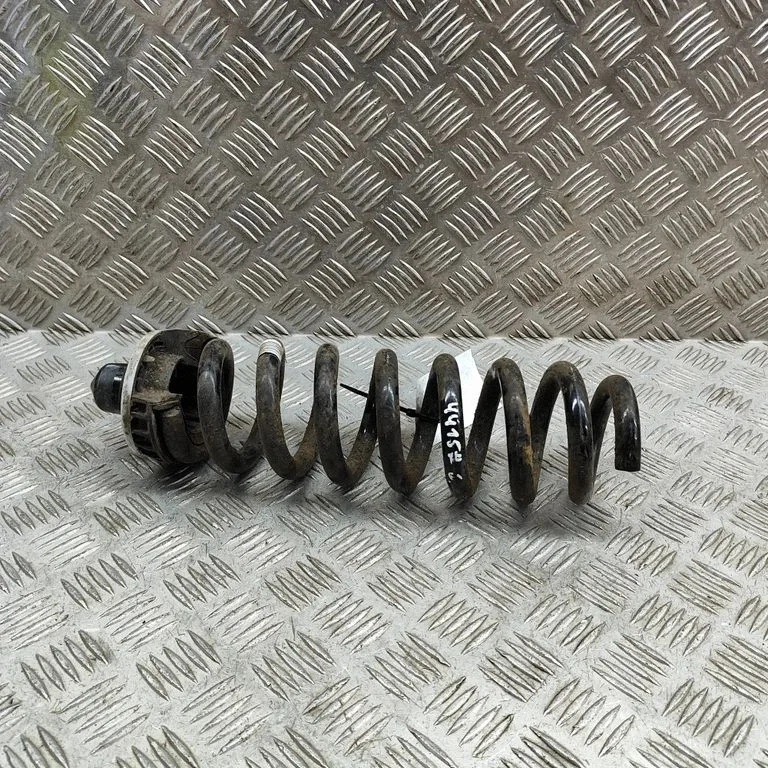 Aizmugurējā spirālatspere 6898645