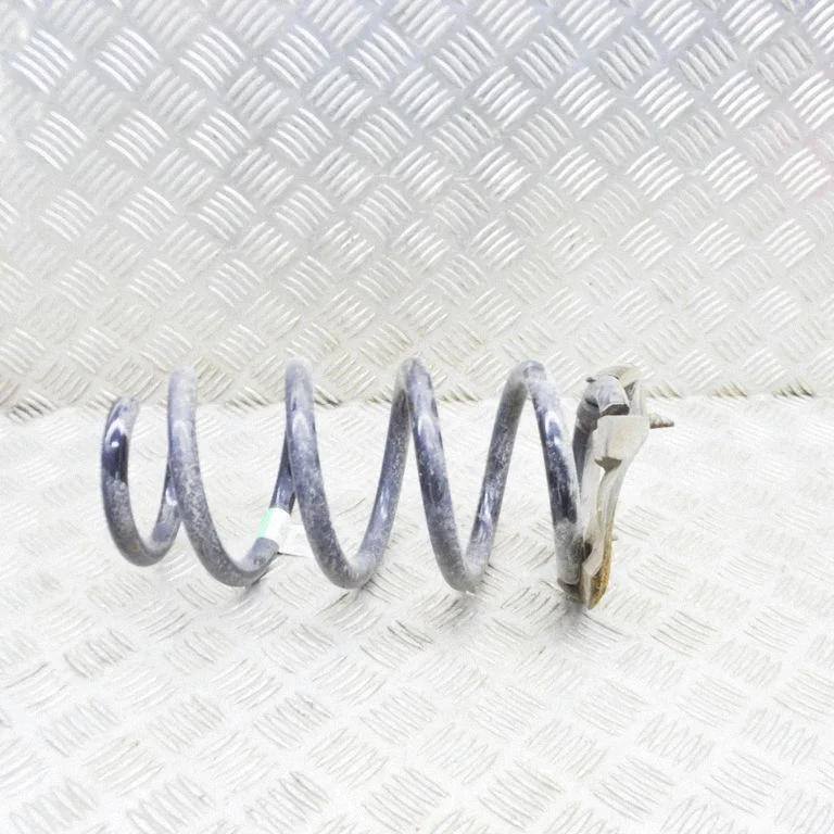 Rear coil spring 118847400B