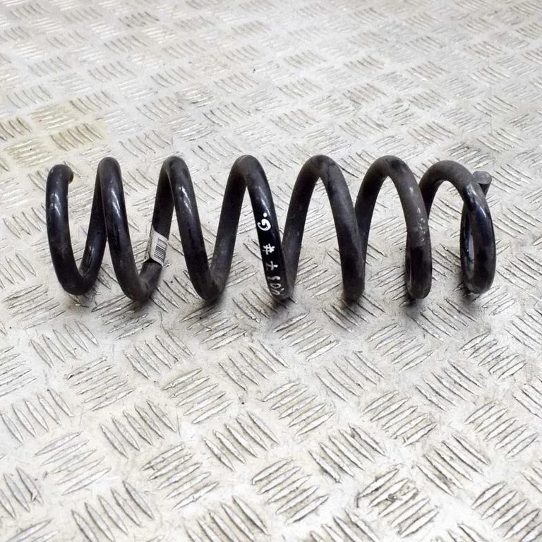 Rear coil spring 6889979