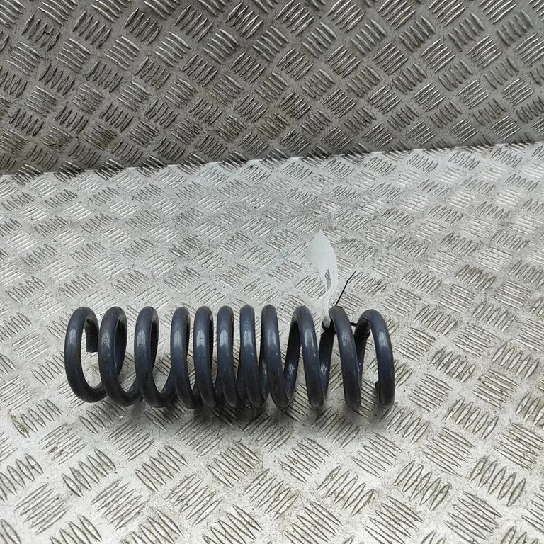 Aizmugurējā spirālatspere 8098764