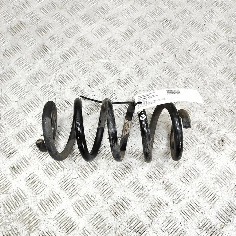 Rear coil spring 8838373