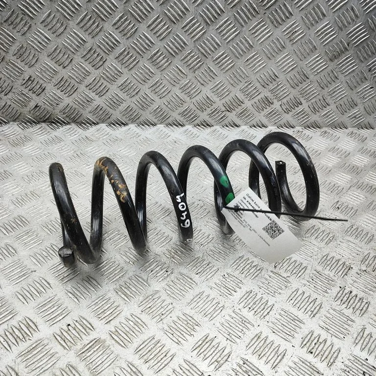 Rear coil spring 1347139300