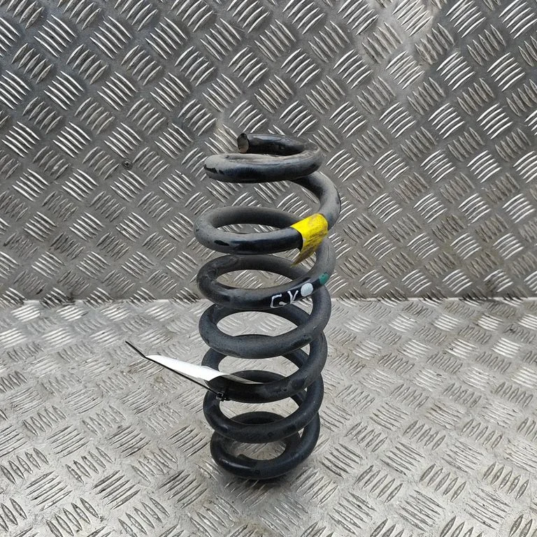 Aizmugurējā spirālatspere 8891841957