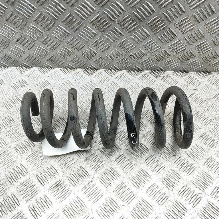 Rear coil spring 11296585