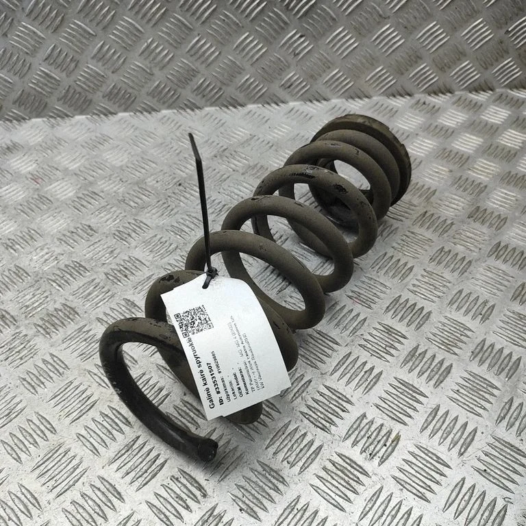 Aizmugurējā spirālatspere 10980296