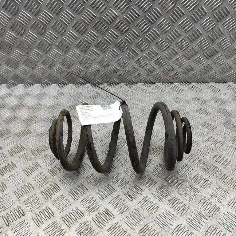 Rear coil spring 6000620080