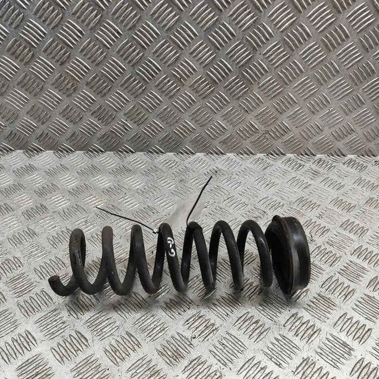 Aizmugurējā spirālatspere 6851929