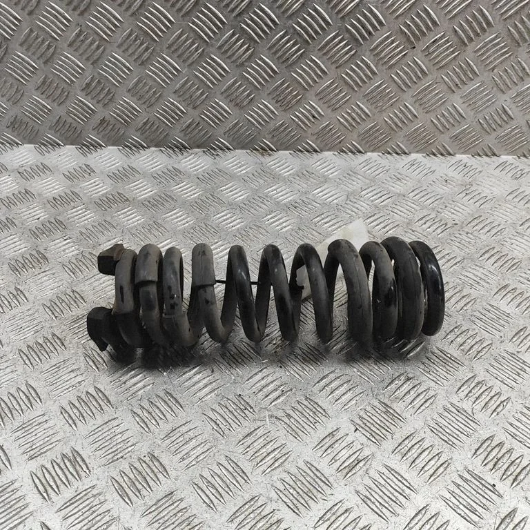 Rear coil spring 8098764
