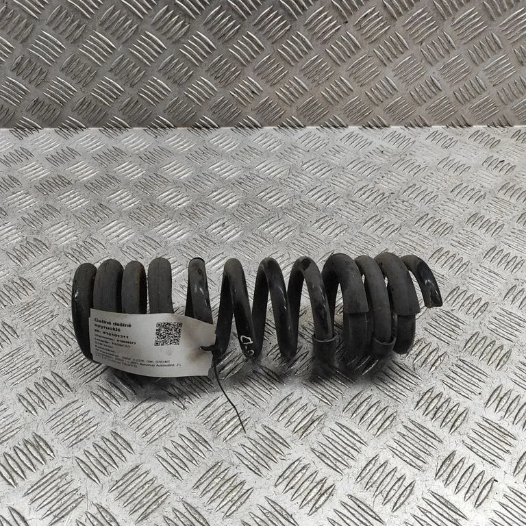 Rear coil spring 8098764