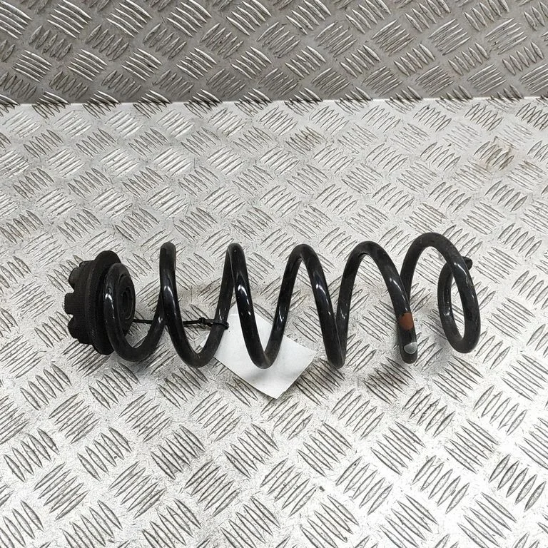 Rear coil spring 550209312R