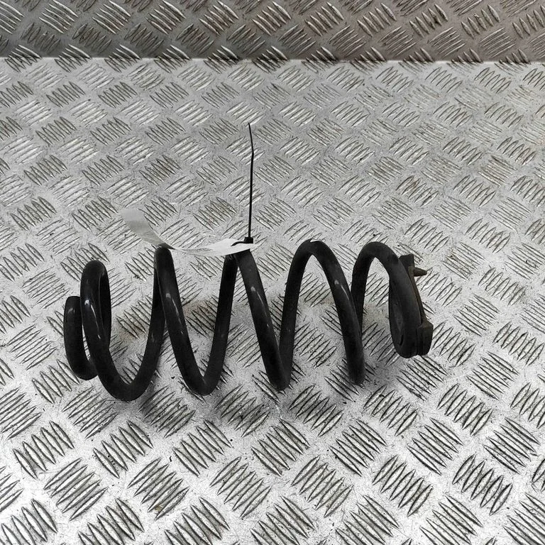 Rear coil spring 6872295