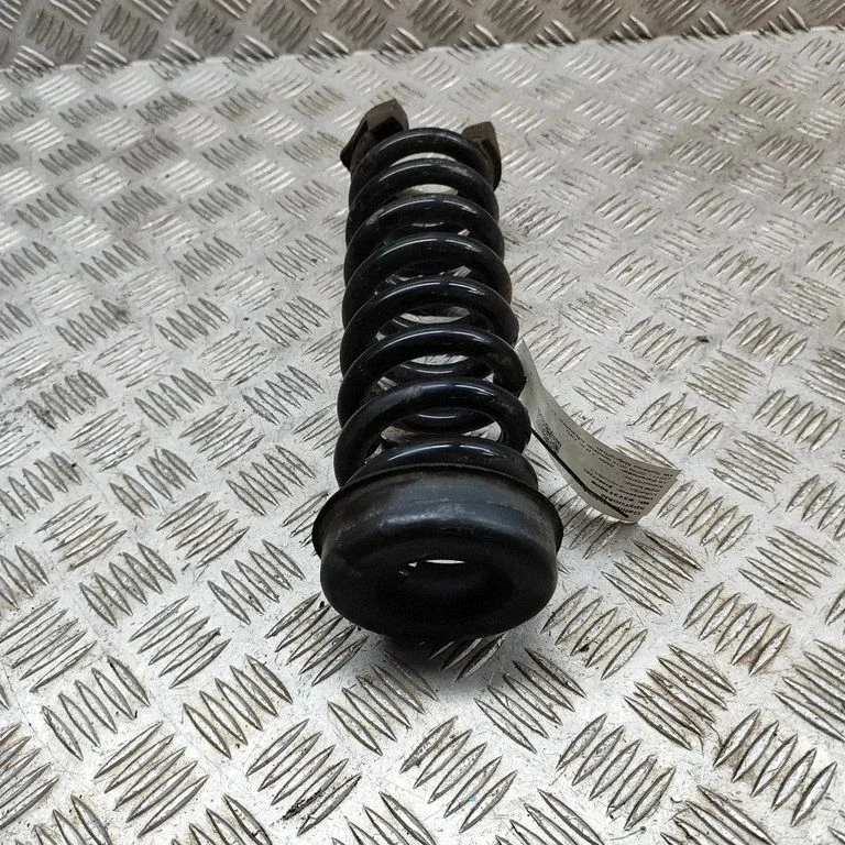 Aizmugurējā spirālatspere 7847710
