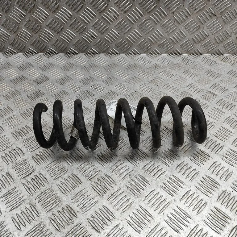 Rear coil spring 6889970