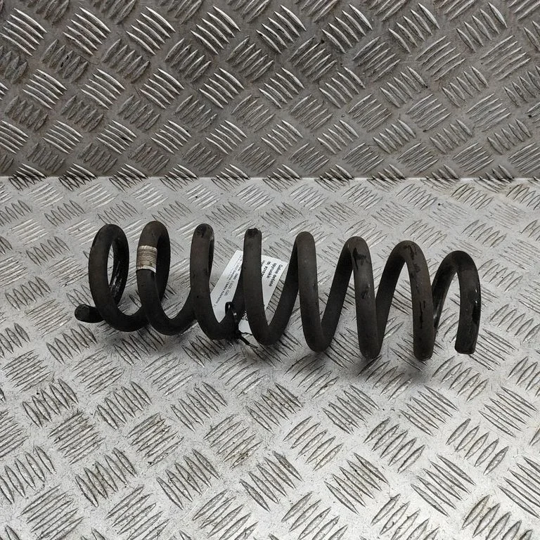 Rear coil spring 6889970