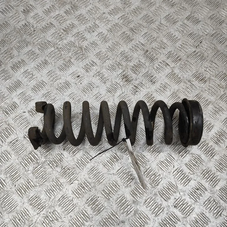 Aizmugurējā spirālatspere 6851729