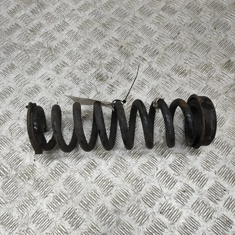Aizmugurējā spirālatspere 6851729