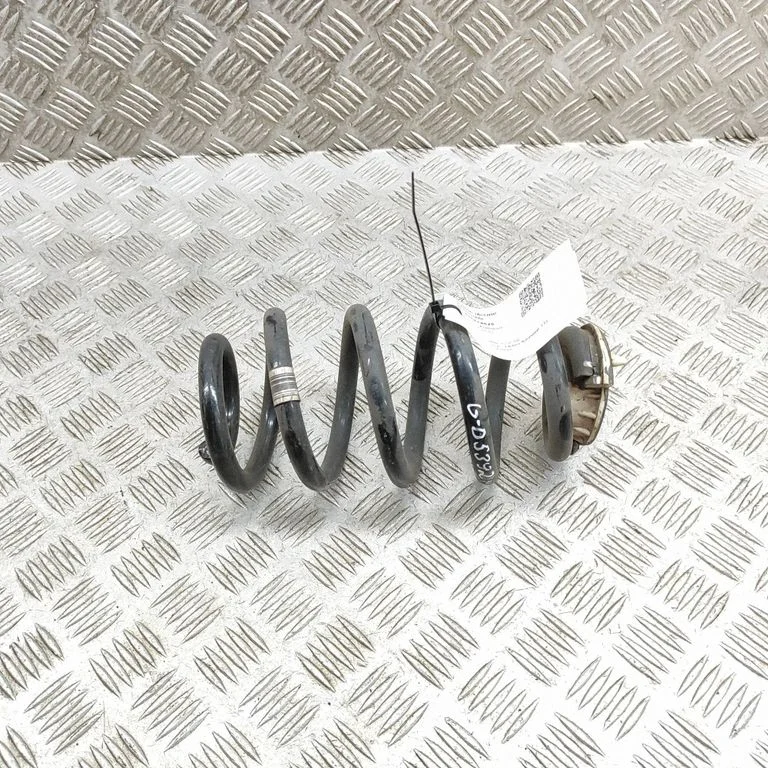 Rear coil spring 6866779