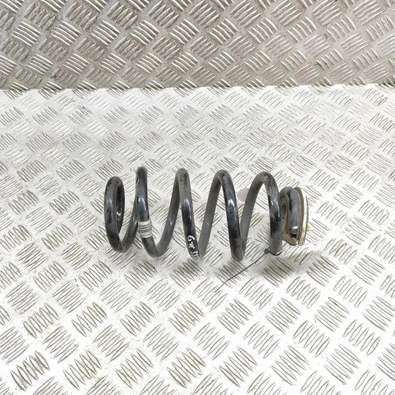 Rear coil spring 6866779