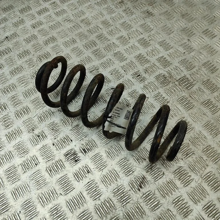 Rear coil spring – Volkswagen Tiguan (2007-2016)