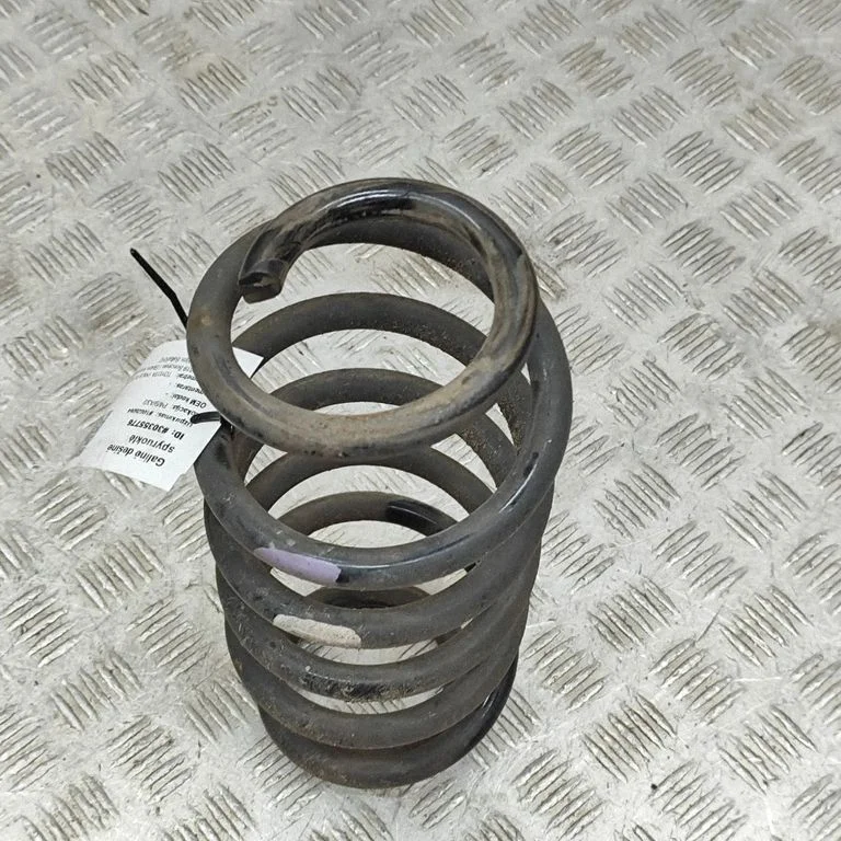 Rear coil spring 4823147120