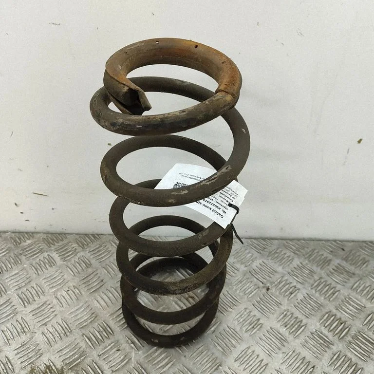 Aizmugurējā spirālatspere 550204JW7A