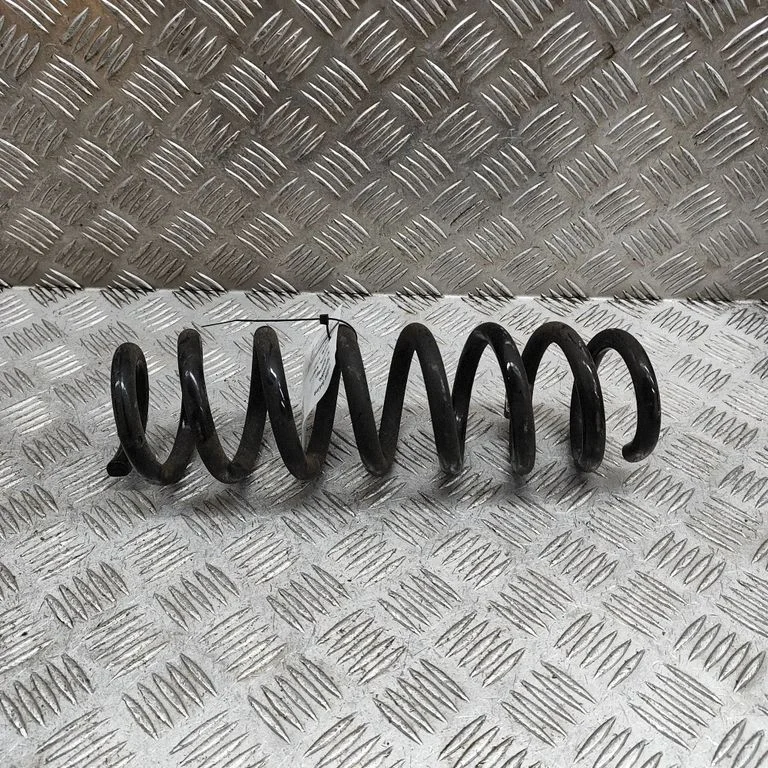 Aizmugurējā spirālatspere 6889966