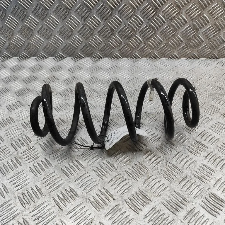 Rear coil spring 31658707