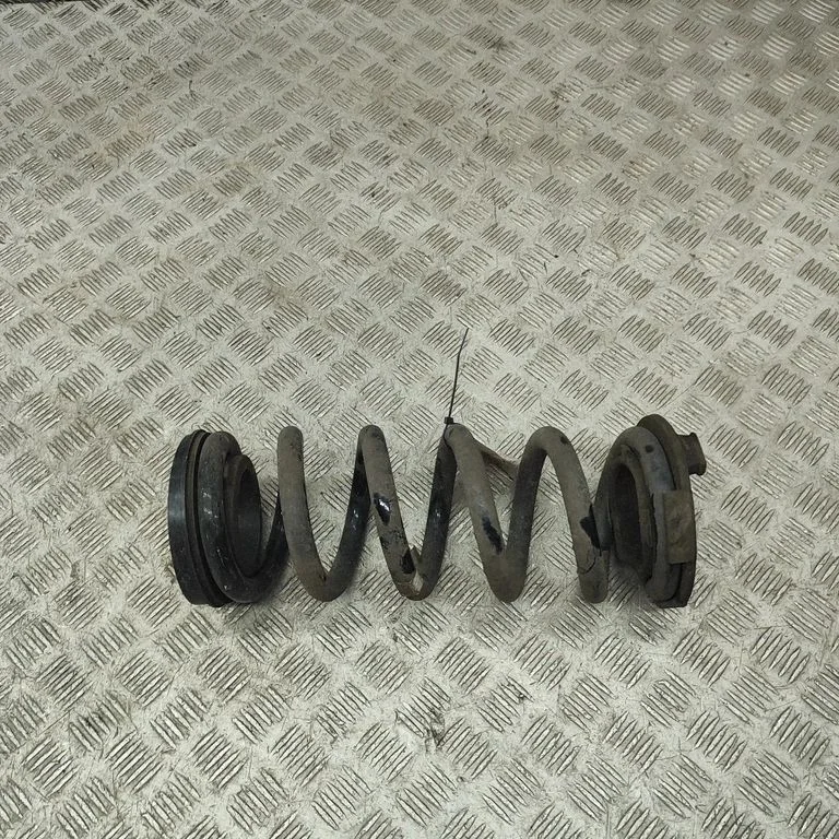 Rear coil spring FM2920200474A