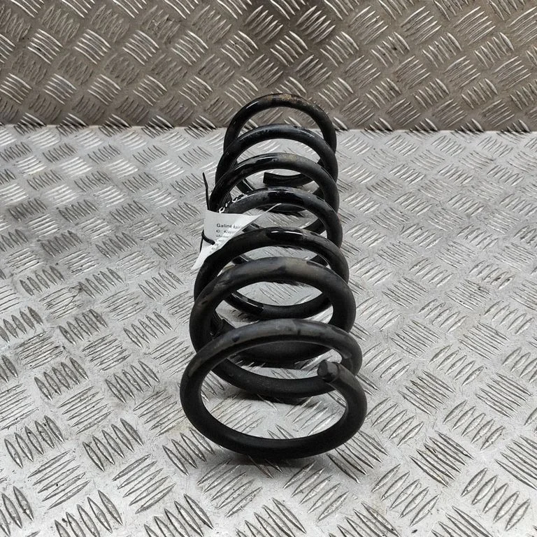 Rear coil spring 9824534080