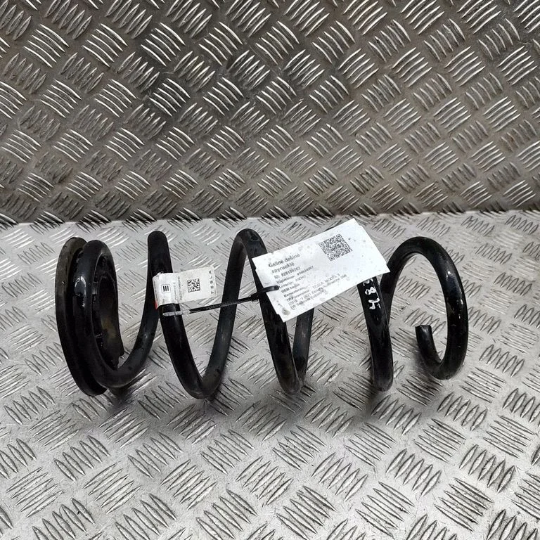 Rear coil spring 104447201E