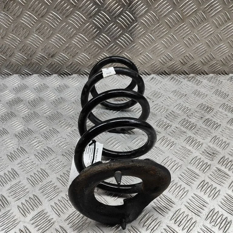 Rear coil spring 104447201E