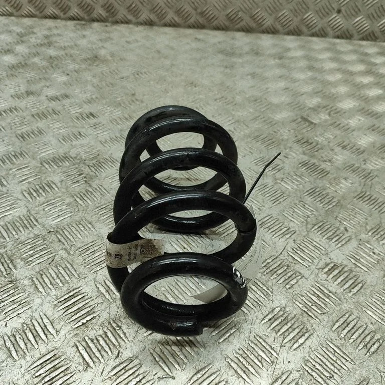 Aizmugurējā spirālatspere 8847558