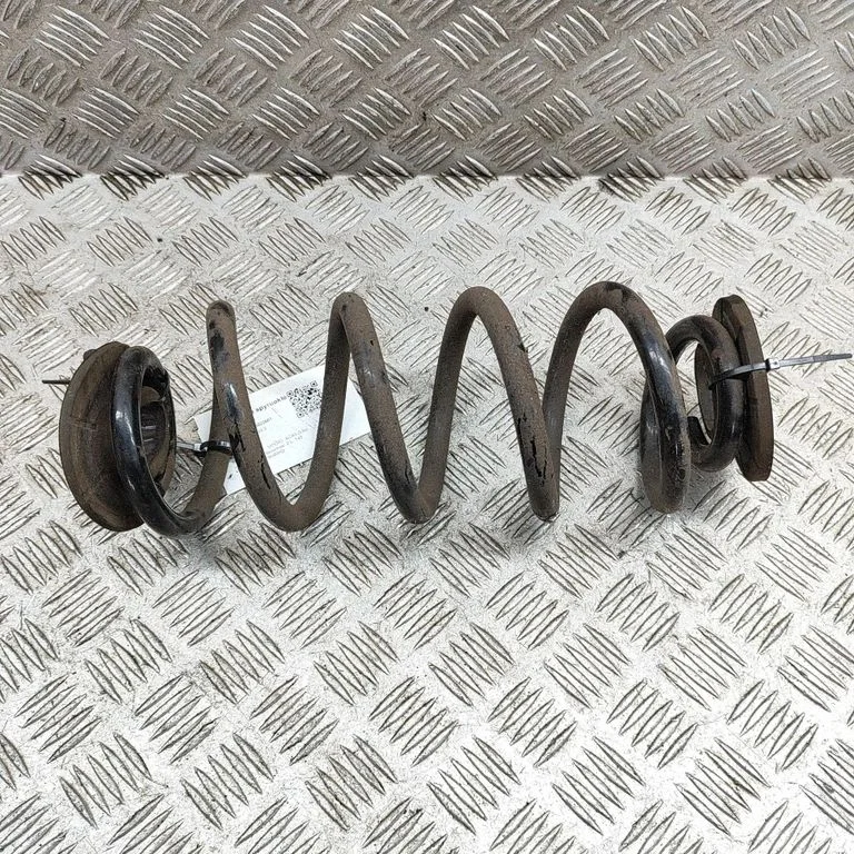 Aizmugurējā spirālatspere 31658709