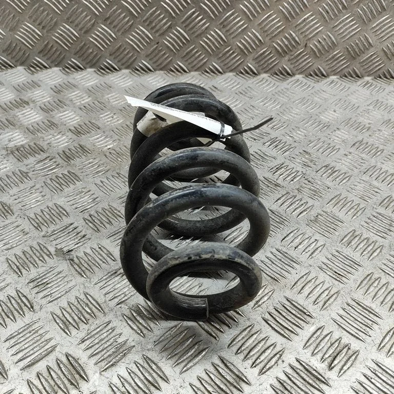 Tagumine keerdvedru 1EA511103AA