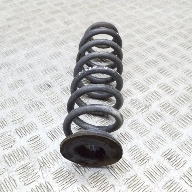 Aizmugurējā spirālatspere 84198854
