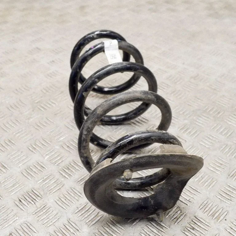 Rear coil spring 104447204A