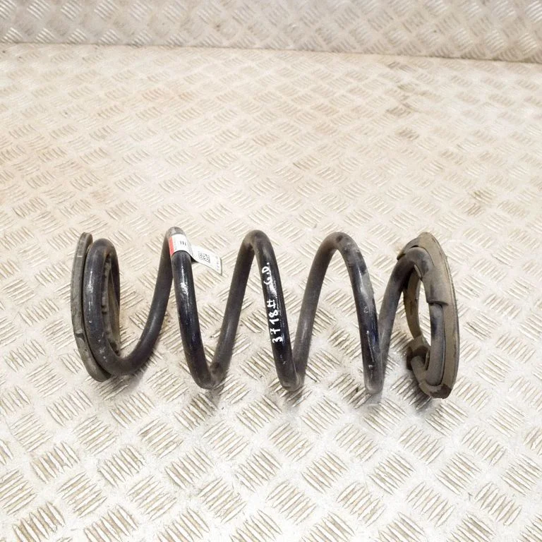 Rear coil spring 104447201E